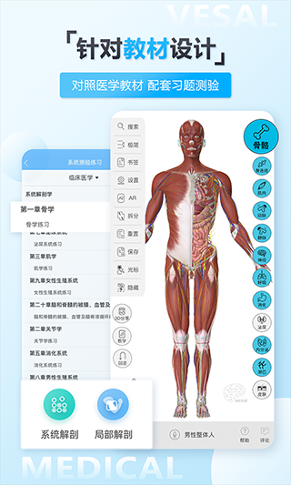 维萨里3d解剖 截图1