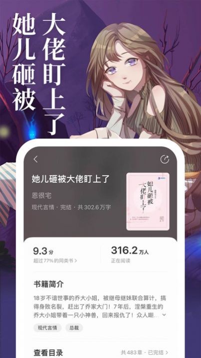 琅阅小说 截图2