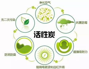 室内甲醛污染治理方法有哪些？ 4