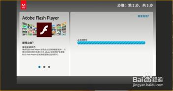 苹果电脑如何安装Flash插件？ 4
