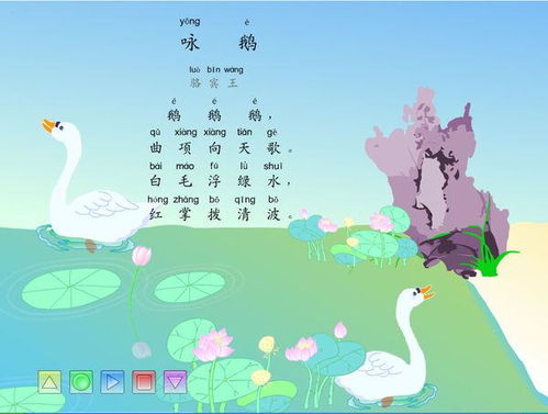 揭秘：“鹅鹅鹅，曲项向天歌”中“曲”的正确发音是几声调？ 2