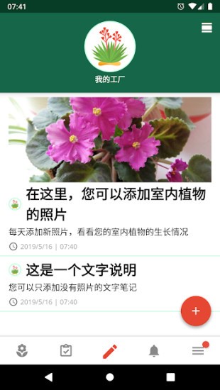 植物日记 1
