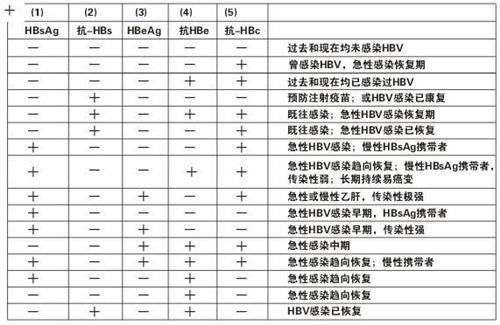 乙肝五项检测结果解析 2