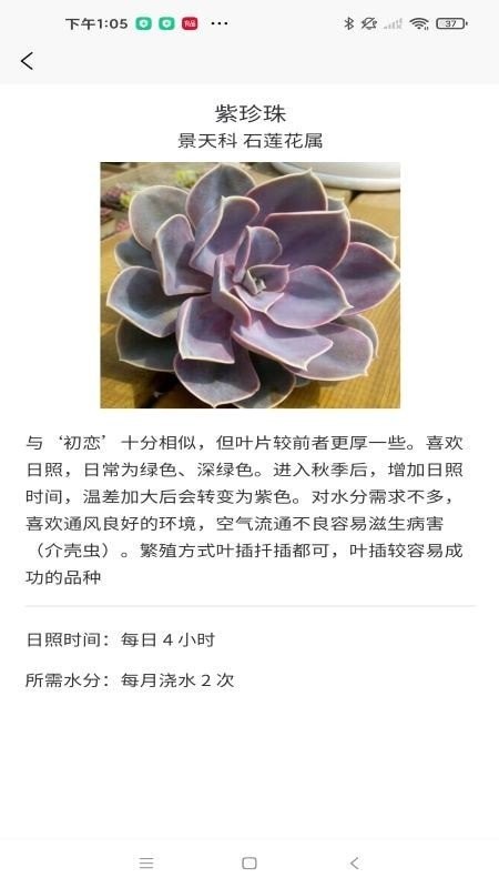 嘟嘟多肉植物鉴 截图2