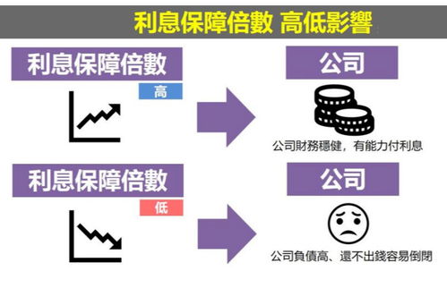 揭秘：利息保障倍数的多样性与重要性 2