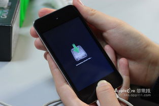 轻松掌握！SAM工具完美解锁iPhone4S/4图文详解教程 2