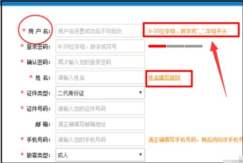 12306用户名注册全攻略：正确格式轻松填 3