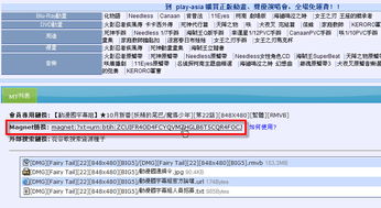 揭秘高效下载秘籍：掌握磁力链接(Magnet)的极速下载方法 3