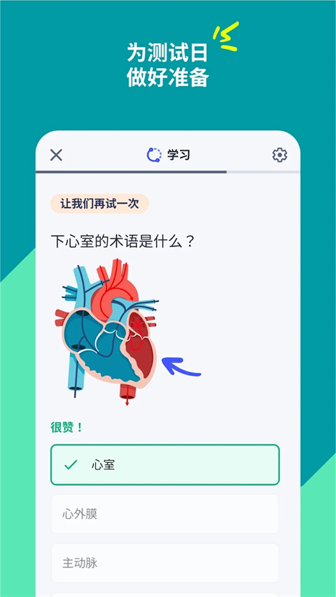 quizlet官方版 截图2