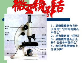 显微镜的正确使用指南 2