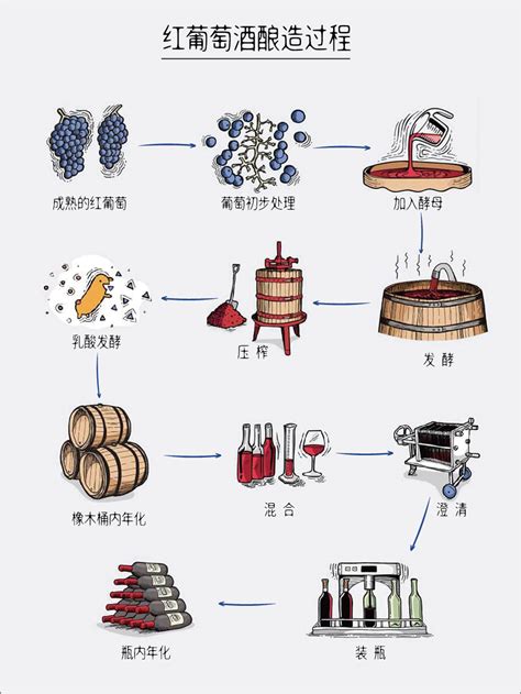 如何正确酿制葡萄酒？ 1