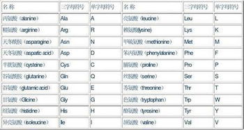 全球货币速览：简称与符号大全 1