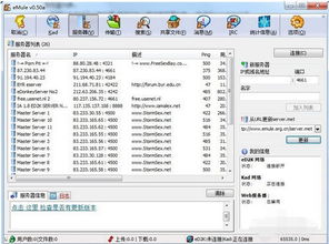 揭秘：电驴高效连接服务器的绝妙步骤 2