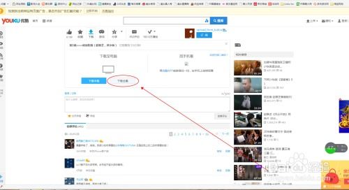 轻松学会：网上在线视频下载技巧 4