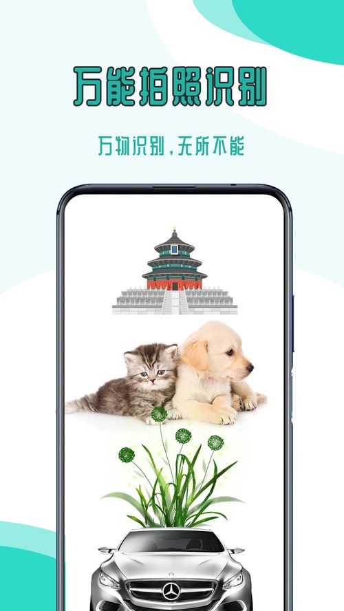 百度APP：一键拍照，秒识万物，轻松识别身边物品！ 2