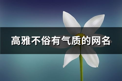 精选高雅别致的网名大全 1