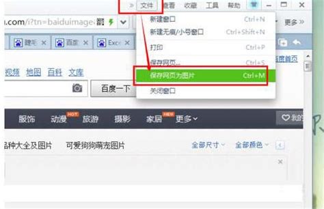 怎样保存当前网页内容及进行截屏？ 4