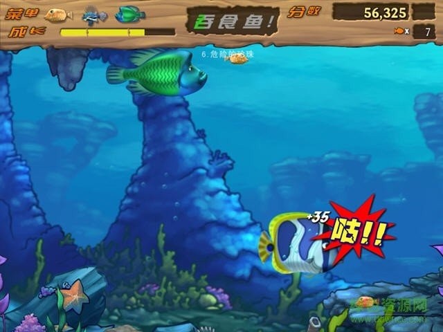 吞食鱼2最新版 1