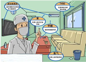 有效去除装修污染的策略 2