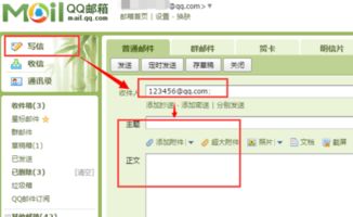 轻松掌握：正确填写邮箱地址的技巧 3