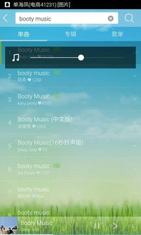 揭秘'Booty Music'的中文魅力翻译 2