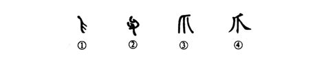 揭秘'爪'字的多样音韵，你知道它的多重身份吗？ 3