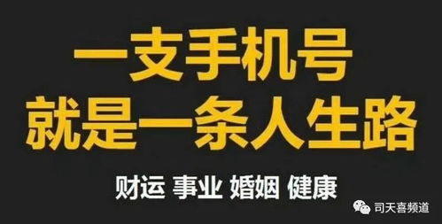 揭秘号令天下：精准手机号查询新指南 1