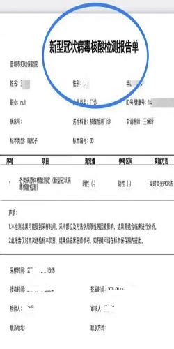 一键解锁：如何在支付宝轻松查询核酸检测报告电子版 3