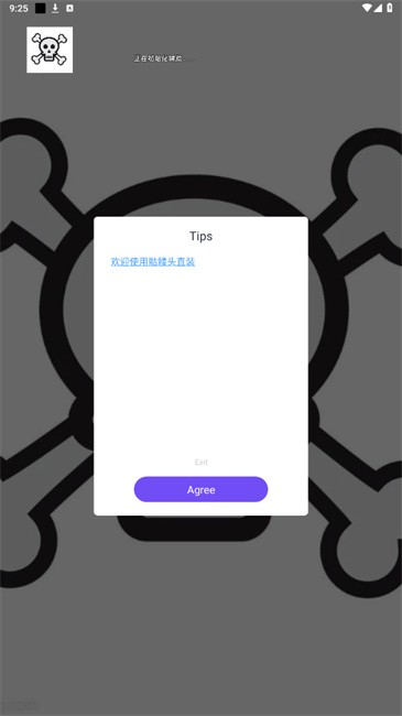骷髅头直装免卡密版 截图3
