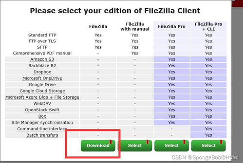 高效利用FTP下载数据资源的指南 2