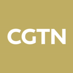 CGTNapp