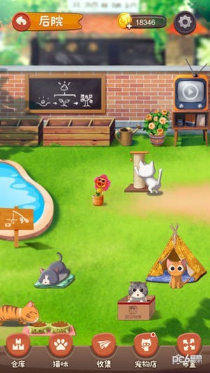 猫语咖啡游戏 截图6