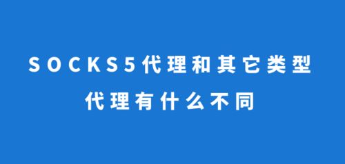 揭秘'Socks'的深层含义：从日常必需品到网络世界的隐形英雄 4