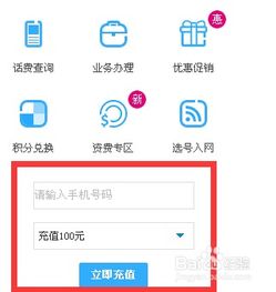 轻松掌握：网上缴纳电话费的实用指南 1