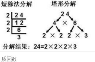 如何定义质因数？有哪些基本特征和例子？ 1