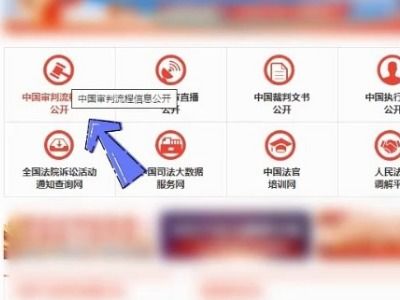 如何在中国审判流程信息公开网轻松查询案件信息？ 2