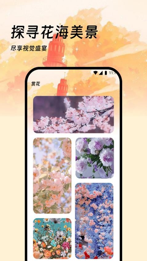 樱花流量官方版 截图3