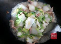 如何制作美味的白菜炖肉 4