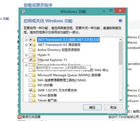 IE应用程序错误的高效解决方案 3