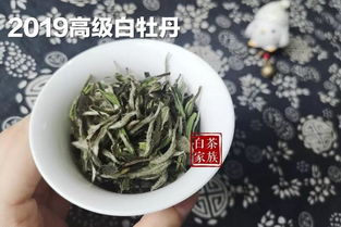 怎样区分白茶的优劣？ 3