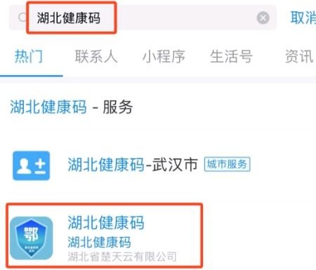 湖北健康码申请攻略：轻松获取您的绿码通行证 4