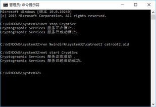 轻松解决！Windows 10中0x8024402f错误的修复方法 4