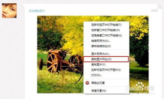 设置百度贴吧签名档指南[3] 4