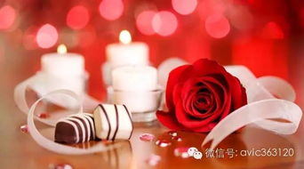 情人节浪漫攻略：你绝对不能错过的浪漫过法！ 2