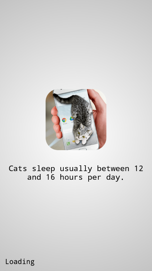 猫咪桌宠 截图2