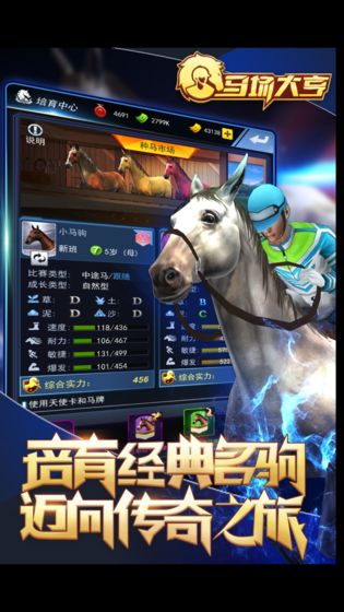 赛马大亨9 2025 1