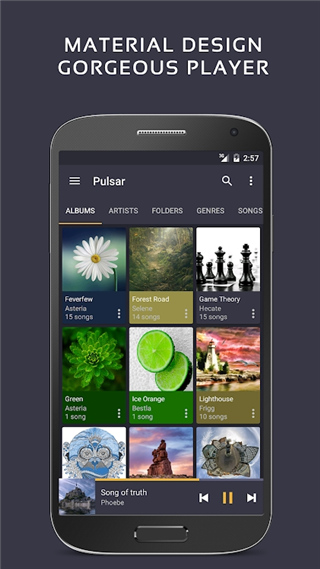 pulsar music player 截图4