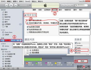 全面掌握iTunes：实用操作指南与技巧 2