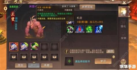 轩辕传奇：深度解析生活技能专精攻略 1