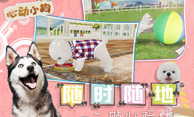 心动小狗最新版 1